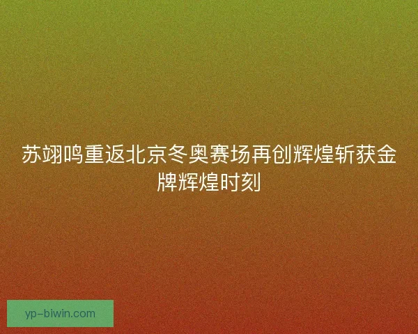 苏翊鸣重返北京冬奥赛场再创辉煌斩获金牌辉煌时刻